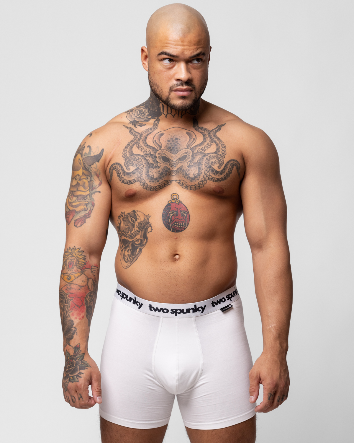 01/ Le Boxer. - Blanc Two Spunky x Loïc Henry.